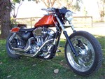 PRO95