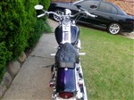 89springersoftail
