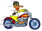 swampy53