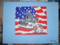 SAM_0279.JPG