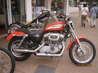sportster20090923_049.JPG