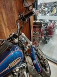 FXR heaven