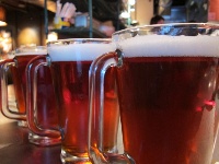 beer-pitchers1.jpg beer-pitchers1.jpg