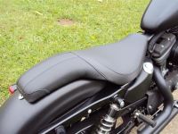 webpics_002.JPG
