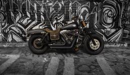 FATBOB-15.jpg