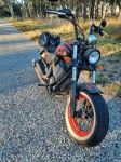 Your other "non-Harley"  Bike?