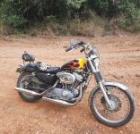 20250722_142635_1.jpg 20250722_142635_1.jpg