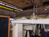 20250910_085651.jpg 20250910_085651.jpg