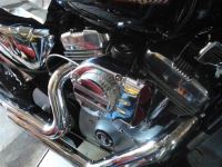 IMG_20150403_144256.jpg