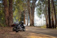 60418786_439185740149325_6669087013771149312_o.jpg 60418786_439185740149325_6669087013771149312_o.jpg