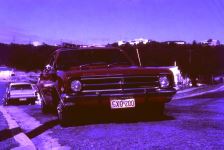 Red_Monaro_3.jpg