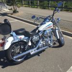 IMG_0671.jpeg IMG_0671.jpeg