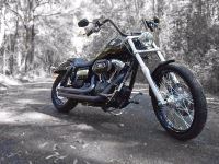 IMG_0188.jpg IMG_0188.jpg