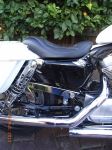 RIMG0305.JPG