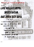 LAKE_WALLACE_HOTEL_SPEED_SHEAR.jpg