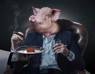 a02e1868430725.Y3JvcCw4MjcsNjQ3LDE0OSww.jpg a02e1868430725.Y3JvcCw4MjcsNjQ3LDE0OSww.jpg