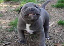 enhanced-buzz-19433-1371152526-20_1.jpg enhanced-buzz-19433-1371152526-20_1.jpg