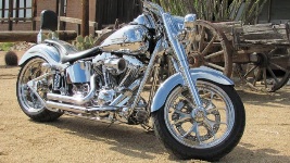 harley-davidson-arlen-ness-fat-boy-soft-tail-custom-2009.jpg