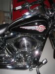 2006_Springer_Softail_023.JPG