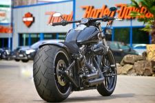 Custom-HD-Softail-by-Thunderbike-Customs-4.jpg