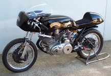 vincent.jpg vincent.jpg