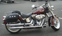 2011deluxe_005.jpg