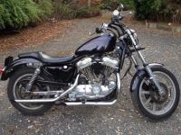 11004515_10152848330554635_2021481008_n.jpg 11004515_10152848330554635_2021481008_n.jpg