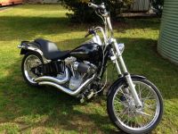 softail_resize.jpg