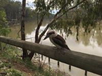 Echuca_281.JPG