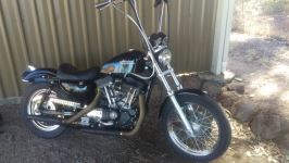 IMAG0005.jpg IMAG0005.jpg