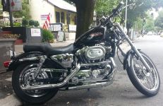 harley_photo_sporster_custom.jpg