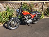 IMG_0119.jpeg IMG_0119.jpeg