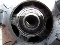 P1000321.JPG