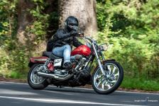 DSC_6547.jpg DSC_6547.jpg