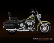 Apple_green_vivid_balck_softail.jpg