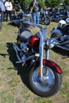 DSC_0379.jpg