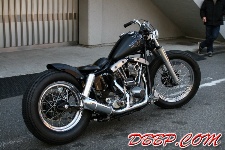shovel313.jpg