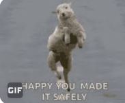 20220630_162251.jpg 20220630_162251.jpg