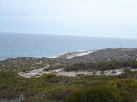 P1020033.JPG
