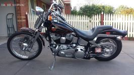 Softail_Springer_LHS.jpg