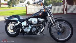 Softail_Springer_RHS_1_resized.jpg