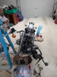 Hilly's 1999 XL1200S