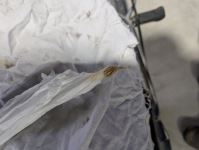 Hilly's 1999 XL1200S