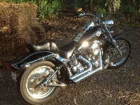 IMG_1453_2.JPG