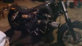 2streetbob.jpg
