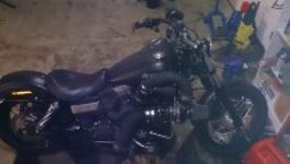 streetbob.jpg
