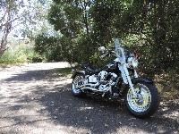 DSCN1486.JPG