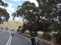 DSCN1903.JPG