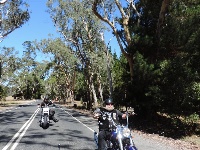DSCN6863.JPG