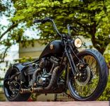 IMG-20200403-WA0019.jpg IMG-20200403-WA0019.jpg